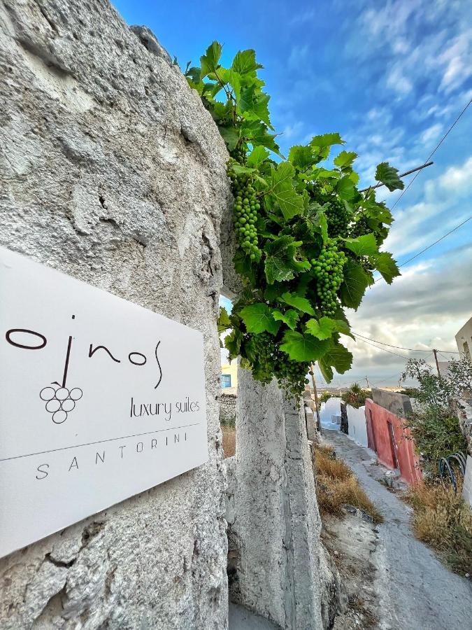 Oinos Luxury Suites Foinikiá 외부 사진